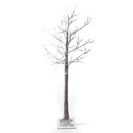 Berkenboom met sneeuw H 160 cm 144L classic warm 5m lead IP44 36V