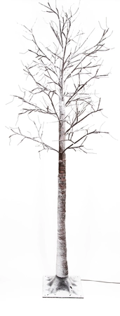 Berkenboom met sneeuw H 200 cm 204L classic warm 5m lead IP44 36V