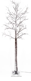 Berkenboom met sneeuw H 200 cm 204L classic warm 5m lead IP44 36V