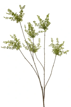 Berry spray green 120cm