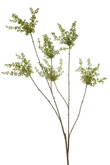Berry spray green 120cm