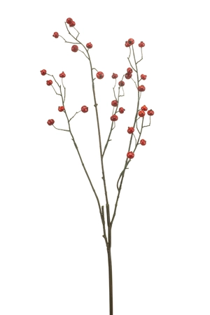Berry spray red 80cm