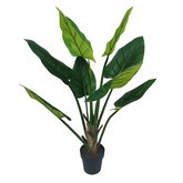 Beryl lvs tree 125cm