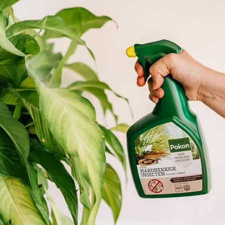 Bio Hardn Insect Spr 800ml - afbeelding 3