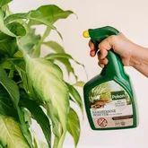 Bio Hardn Insect Spr 800ml - afbeelding 3