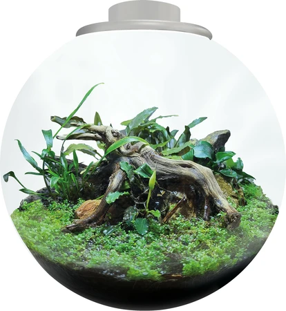 Bioart Bowl 225 Wit - afbeelding 3