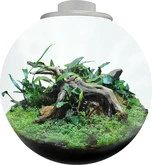 Bioart Bowl 225 Wit - afbeelding 3