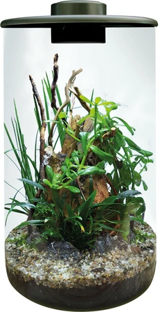 Bioart Cylinder 285 Zw - afbeelding 3