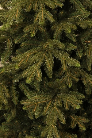 Black Box Kunstkerstboom Macallan groen - H 230 x D 140 cm - afbeelding 2