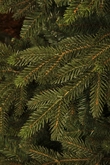 Black Box Kunstkerstboom Macallan groen - H 260 x D 150 cm - afbeelding 3