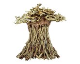 Bonsai Mushroom Small