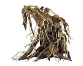 Bonsai Root Medium