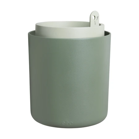 bouncy basil blad groen