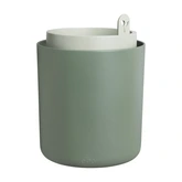 bouncy basil blad groen