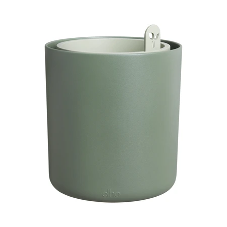 bouncy basil blad groen - afbeelding 4