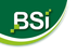 BSI