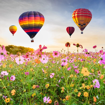 Buitencanvas luchtbalonnen 78x78cm