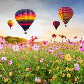 Buitencanvas luchtbalonnen 78x78cm