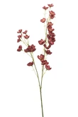 Buttercup spray beauty 85cm