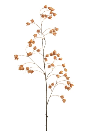 Buttercup spray peach 105cm