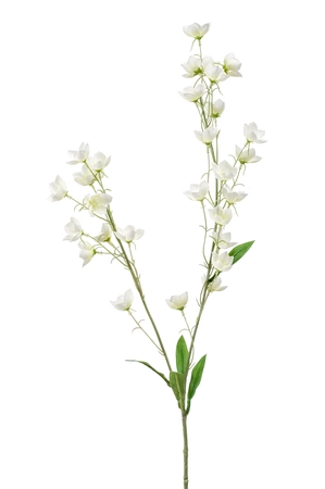 Buttercup spray cream 85cm