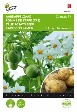 Buzzy® Aardappel uit zaad - SOLHY019 - afbeelding 1