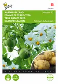 Buzzy® Aardappel uit zaad - SOLHY019 - afbeelding 1