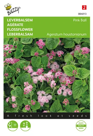 Buzzy® Ageratum, Leverbalsem Pink Ball - afbeelding 1