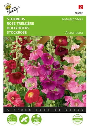 Buzzy® Althaea (Alcea), Stokroos Antwerp Stars mix - afbeelding 1