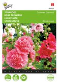 Buzzy® Althaea, Stokroos Summer Carnival - afbeelding 1