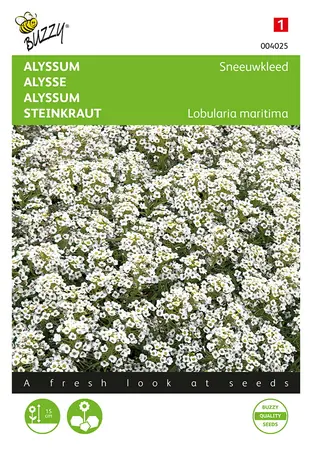 Buzzy® Alyssum Sneeuwkleed - afbeelding 1