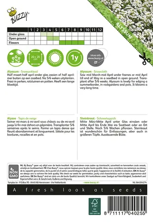 Buzzy® Alyssum Sneeuwkleed - afbeelding 2