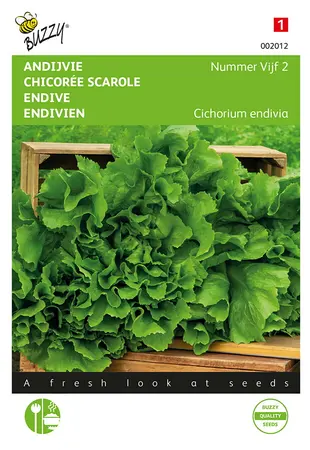 Buzzy® Andijvie Nummer Vijf 2 - afbeelding 1