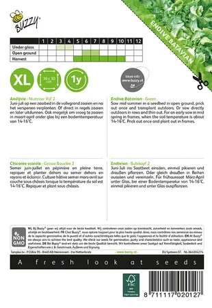 Buzzy® Andijvie Nummer Vijf 2 - afbeelding 2