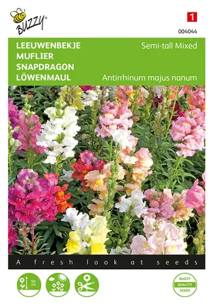 Buzzy® Antirrhinum, Leeuwenbekje half-hoog gemengd - afbeelding 1