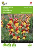 Buzzy® Antirrhinum, Leeuwenbekje Mango Twist - afbeelding 1