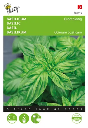 Buzzy® Basilicum Grootbladig - afbeelding 1