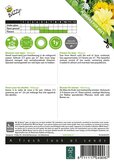 Buzzy® Bloemen voor bijen mengsel - afbeelding 2
