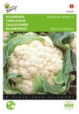 Buzzy® Bloemkool Walcheren Winter 5 - afbeelding 1