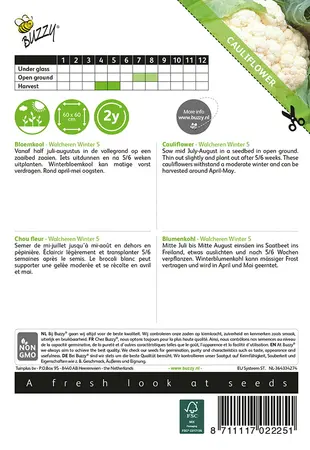 Buzzy® Bloemkool Walcheren Winter 5 - afbeelding 2