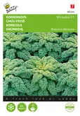 Buzzy® Boerenkool Reflex F1 (wordt Winterbor) - afbeelding 1