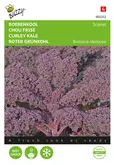 Buzzy® Boerenkool Scarlet Paars - afbeelding 1
