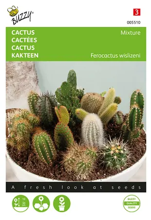 Buzzy® Cactusmengsel Vele soorten - afbeelding 1