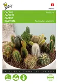 Buzzy® Cactusmengsel Vele soorten - afbeelding 1