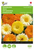 Buzzy® Calendula, Goudbloem Pacific Beauty gemengd - afbeelding 1