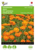 Buzzy® Calendula, Goudsbloem Ball’s Orange dubbelbloemig - afbeelding 1