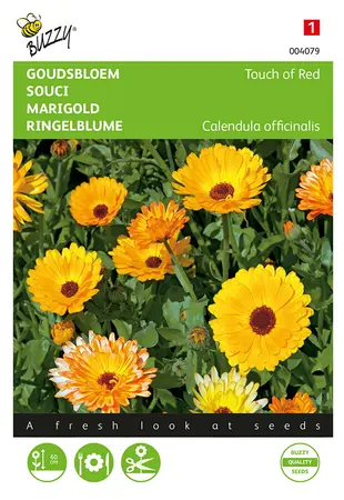 Buzzy® Calendula, Goudsbloem Touch of Red - afbeelding 1