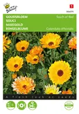 Buzzy® Calendula, Goudsbloem Touch of Red - afbeelding 1