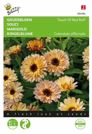 Buzzy® Calendula, Goudsbloem Touch Of Red Buff - afbeelding 1