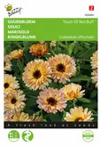 Buzzy® Calendula, Goudsbloem Touch Of Red Buff - afbeelding 1